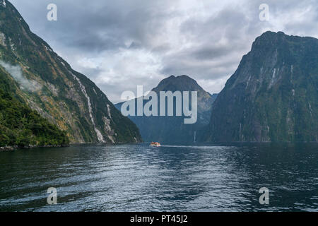 Barche in Milford Sound su un nuvoloso giorno di estate, Fiordland NP, Southland district, regione del Southland, South Island, in Nuova Zelanda, Foto Stock