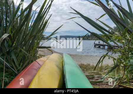 Kayak sulla riva del lago Mapourika, Waiho, Westland district, West Coast, regione di South Island, in Nuova Zelanda, Foto Stock