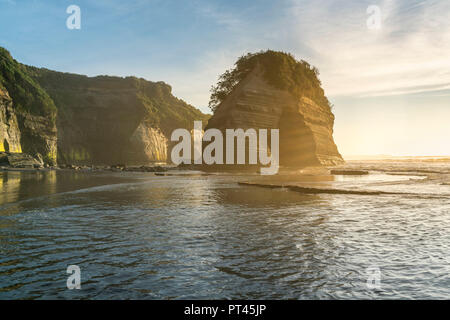 Elephant Rock nella luce del mattino, Tongaporutu, New Plymouth district, Taranaki regione, Isola del nord, Nuova Zelanda, Foto Stock