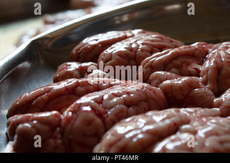 Cervello di animali per la vendita nel mercato locale Foto Stock