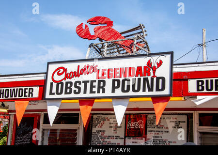 Charlotte il leggendario Lobster Pound Ristorante, Seawall, Maine Foto Stock