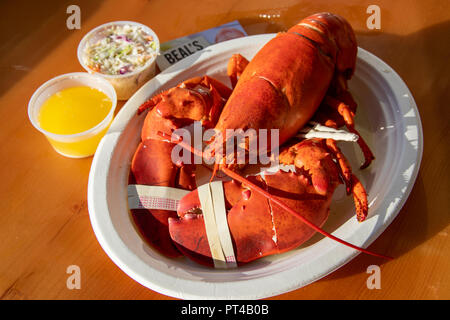Beal aragosta del ristorante Pier, Southwest Harbor, Maine, Stati Uniti d'America Foto Stock