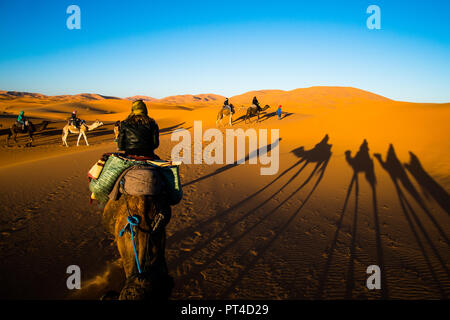 Sahara, Marocco - 10 Novembre 2017: turisti a cavallo di cammelli in carovana sulle dune di sabbia nel deserto del Sahara con forti ombre del cammello su una spiaggia di sabbia Foto Stock