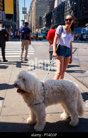 Un cane bianco e il suo proprietario sorridente sulla 8th Avenue a New York presso l'angolo con West 42nd Street in un posto molto soleggiato e caldo giorno d'estate Foto Stock