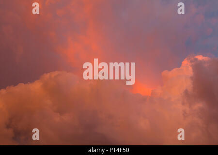 Reddish sumnmer nuvole temporalesche su Southwest Florida negli Stati Uniti Foto Stock