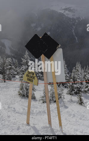 Doppio black diamond segno a ski resort con coperta di neve sempreverdi in background Foto Stock