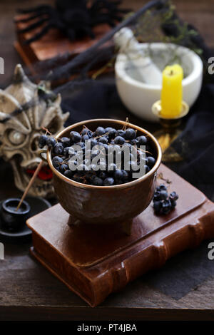 Autunno still life per Halloween - la strega prepara una pozione Foto Stock