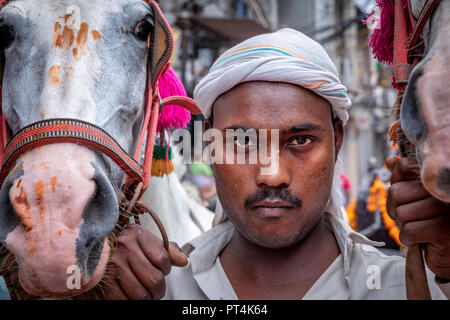 Un ritratto di un uomo con i cavalli, Vecchia Delhi, India Foto Stock