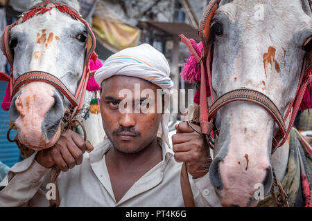 Un uomo indiano con i cavalli, Vecchia Delhi, India Foto Stock