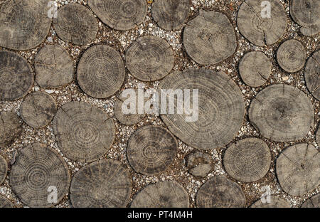 Texture di legno sul taglio. Il percorso è pavimentata con legno. Foto Stock