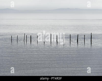 Parete di mare, Goldcliff, Newport, South Wales, Regno Unito Foto Stock