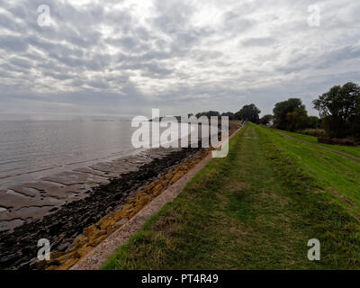 Parete di mare, Goldcliff, Newport, South Wales, Regno Unito Foto Stock