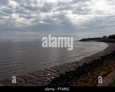 Parete di mare, Goldcliff, Newport, South Wales, Regno Unito Foto Stock