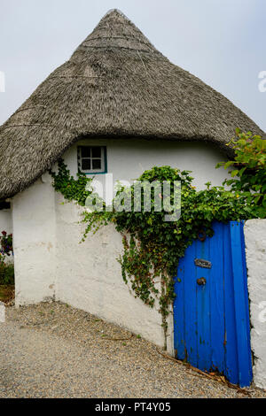 Porta blu in una parete ricoperta di edera da un cottage con tetto di paglia in Kilmore Quay, Co. Wexford, Irlanda Foto Stock