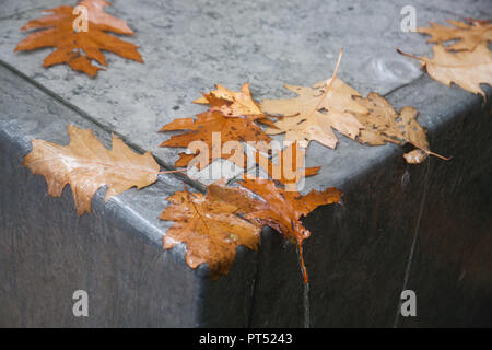 Londra REGNO UNITO. Il 6 ottobre 2018. Caduto Foglie di autunno coperti in caso di pioggia sul Ponte di Londra su un wet Rainy day in London Credit: amer ghazzal/Alamy Live News Foto Stock