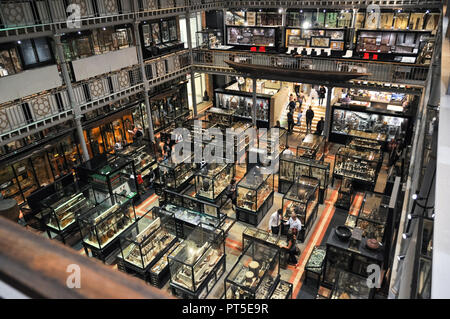 Pitt Rivers Museum, Oxford Foto Stock