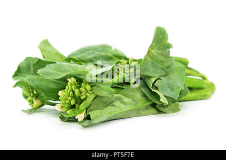 Kai cinese verdure Lan su sfondo bianco Foto Stock