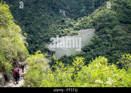 Winay Wayna rovine sono lungo il cammino degli Inca alla scoperta di Machu Picchu. (Perù) Foto Stock