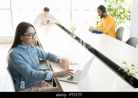 Grave concentrata giovane femmina freelancer in bicchieri seduti a un tavolo con i colleghi di lavoro e lavorare con il computer portatile mentre si beve il caffè Foto Stock