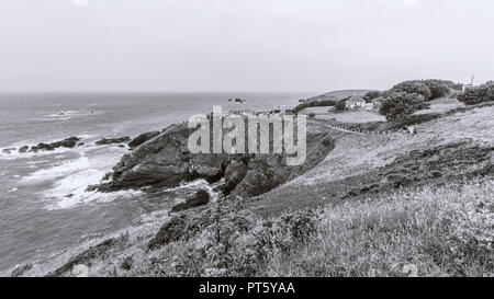Robusto vedute costiere di rude ventoso. Foto Stock