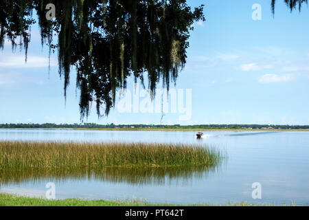 Florida,Lago Hamilton,Sample Park,acqua sawgrass barca,idroscivolante,spagnolo muschio, visitatori viaggio viaggio turismo turistico punto di riferimento cultura c Foto Stock