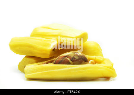 Mature jackfruit isolati su sfondo bianco Foto Stock