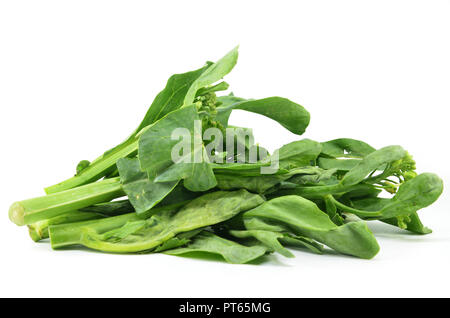 Kai cinese verdure Lan su sfondo bianco Foto Stock