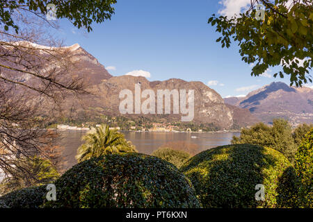 L'Europa, Italia, Bellagio Lago di Como, un albero con una montagna in background Foto Stock