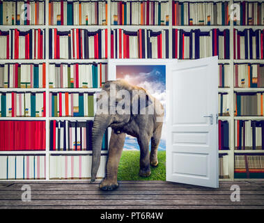 Elephant contro il ripiano del libro in biblioteca, simbolo della conoscenza, metafora. Concetto di saggezza Foto Stock