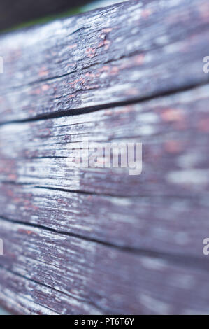 La texture del dipinto shabby panche di legno fatto di schede, close up, grunge background Foto Stock