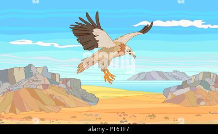 Il vertiginoso aumento di avvoltoio, colore stilizzata illustrazione nel vettore. Illustrazione Vettoriale