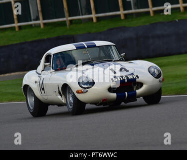 Emanuele Pirro, Gary Pearson, Jaguar E-Type leggero, Royal Automobile Club TT celebrazione, chiuso il cockpit vetture GT, 1960 - 1964, Goodwood Foto Stock