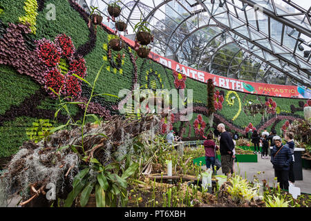Il Royal Botanic Gardens di Sydney, ha l'interno più grande parete verde nell'emisfero meridionale. Come pure aventi più di 18, 000 piante growin Foto Stock