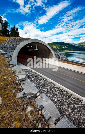 Strada di Montagna in Norvegia. L ingresso del tunnel. Foto Stock