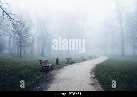 Un sentiero conduce attraverso un parco nebbioso Foto Stock