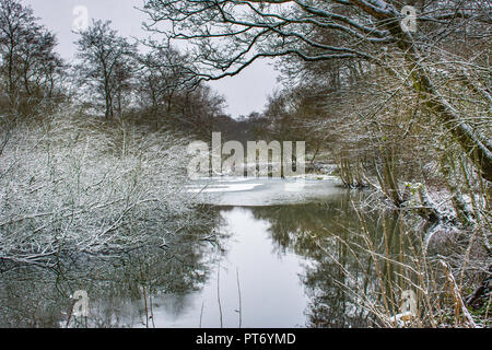 Paesaggio uk.Lago nella foresta coperta con macchie di neve in inverno freddo giorno.Winter Wonderland in british deserto.alberi riflessi nell'acqua. Foto Stock