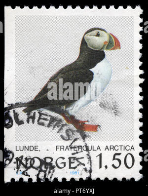 Con timbro postale timbro dalla Norvegia rilasciato nel 1981 dalla serie di uccelli Foto Stock