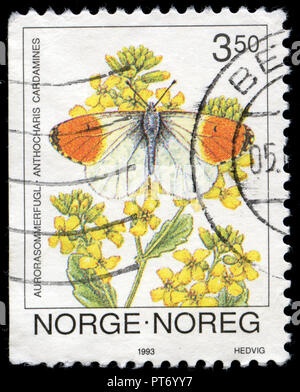 Con timbro postale timbro dalla Norvegia dalla serie farfalle rilasciato in 1993 Foto Stock