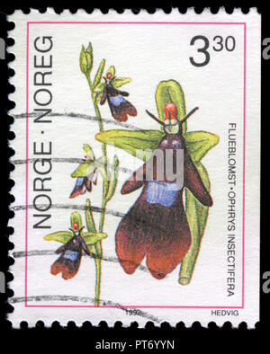 Con timbro postale timbro dalla Norvegia nell'Orchidee serie rilasciato in 1992 Foto Stock