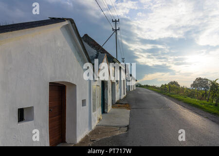 Wildendürnbach: Kellergasse (cantina lane) con Presshaus Presshäuser (premere casa) a hill Galgenberg, vigneto, il vino nel Weinviertel, Niederösterreich Foto Stock