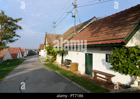 Wildendürnbach: Kellergasse (cantina lane) con Presshaus Presshäuser (premere casa) a hill Galgenberg, vino nel Weinviertel, Niederösterreich, Au inferiore Foto Stock