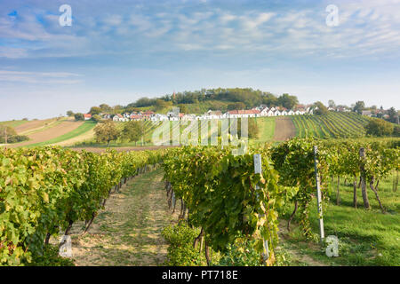 Wildendürnbach: Kellergasse (cantina lane) con Presshaus Presshäuser (premere casa) a hill Galgenberg, vigneto, il vino nel Weinviertel, Niederösterreich Foto Stock