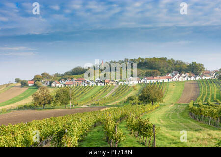 Wildendürnbach: Kellergasse (cantina lane) con Presshaus Presshäuser (premere casa) a hill Galgenberg, vigneto, il vino nel Weinviertel, Niederösterreich Foto Stock