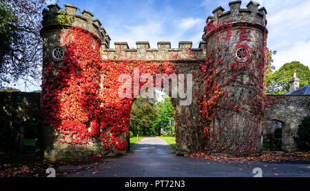 Autunno rosso edera castello di copertura gatehouse pareti a Stourhead, Wiltshire, Regno Unito il 7 ottobre 2018 Foto Stock