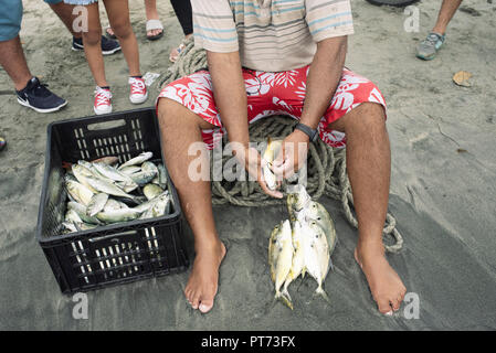 Vicino la foto di un pescatore di pesci di filettatura su una stringa per la vendita. Lo stile di vita di pesca, viaggio documentario, reportage. Santa Marta, Colombia. Sep 2018 Foto Stock
