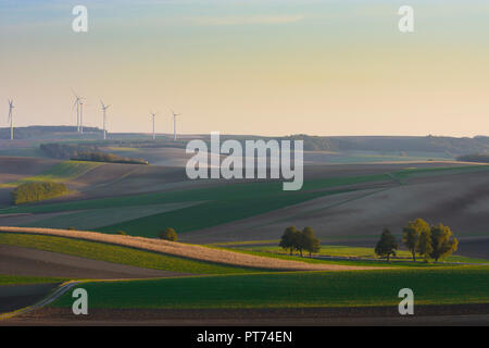 Ladendorf: colline vicino Leiser Berge, turbine eoliche, campo nel Weinviertel, Niederösterreich, Austria Inferiore, Austria Foto Stock