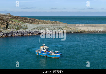 Barca da pesca che arriva ad Amlwch Harbour Anglesey, Galles del Nord Foto Stock