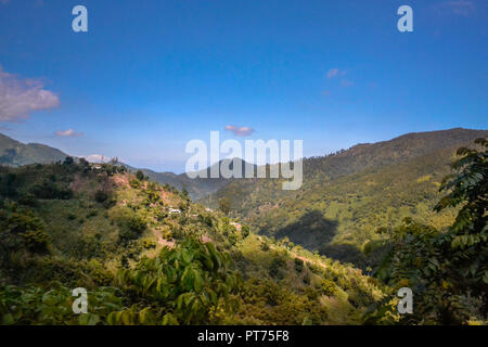 Giamaica , Blue Mountains tour Foto Stock