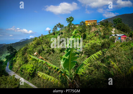 Giamaica, montagne blu , la vita locale in alto al centro della verde e natura selvaggia Foto Stock