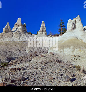 Erosi pinnacoli di ceneri vulcaniche e sedimenti terziari in terra bianca area vicino winston, montana Foto Stock